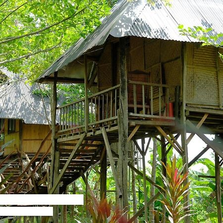 Vila Sunny Field Eco Stilt House Cat Tien Exteriér fotografie