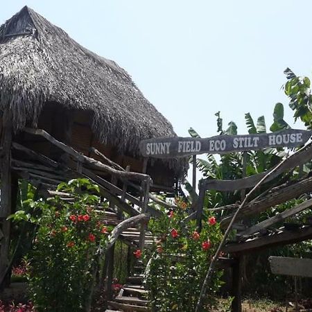Vila Sunny Field Eco Stilt House Cat Tien Exteriér fotografie