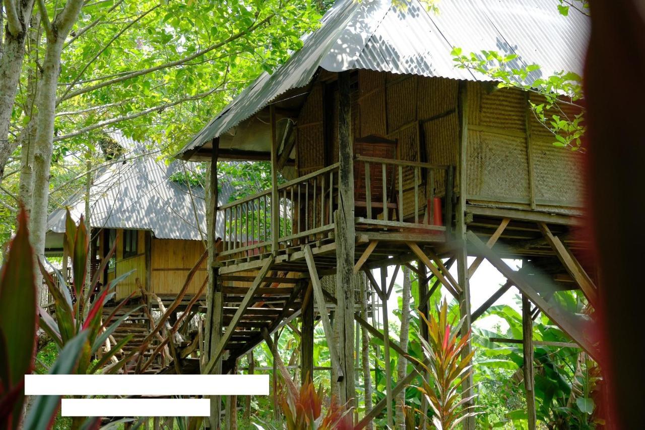 Vila Sunny Field Eco Stilt House Cat Tien Exteriér fotografie