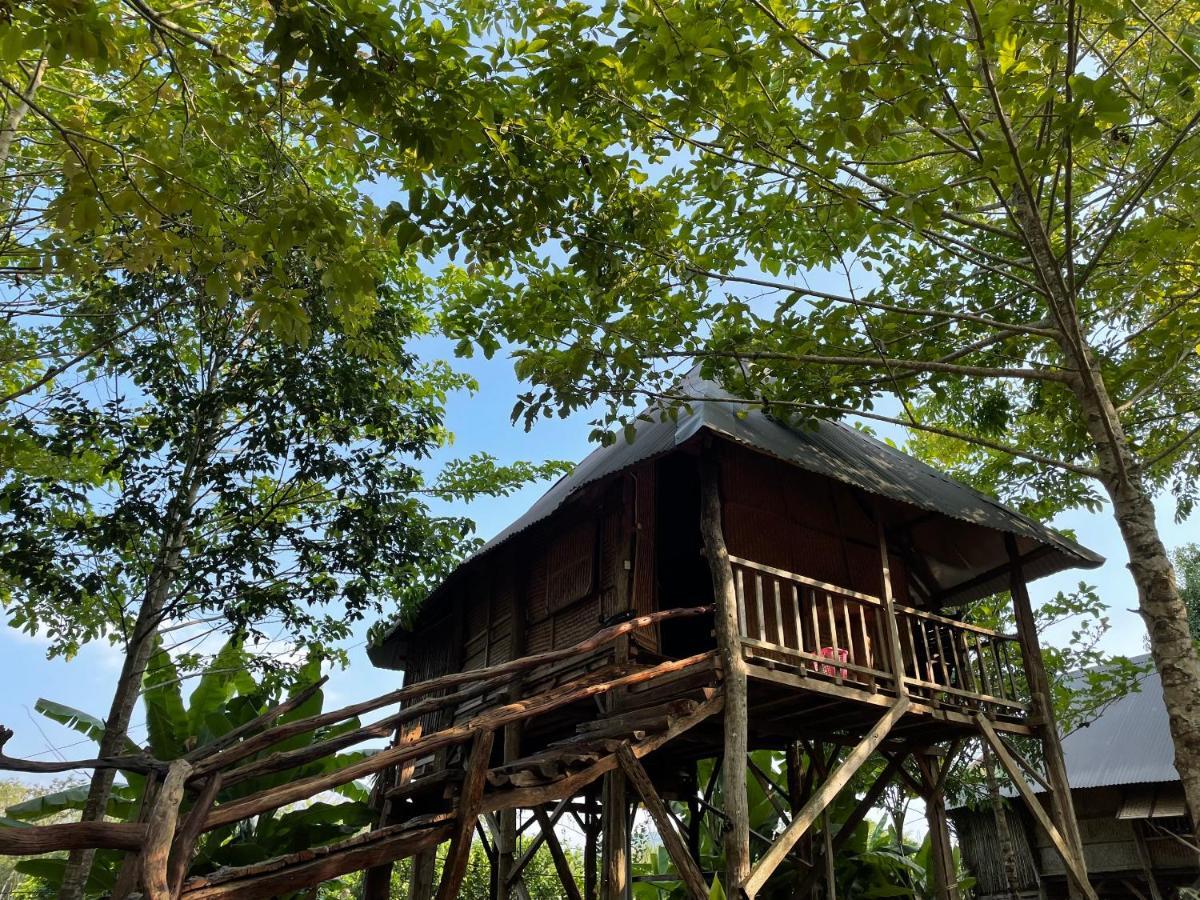 Vila Sunny Field Eco Stilt House Cat Tien Exteriér fotografie