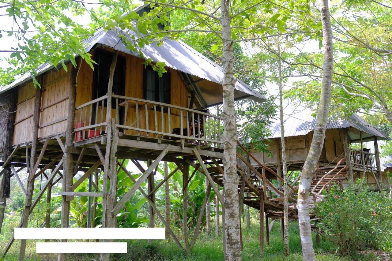 Vila Sunny Field Eco Stilt House Cat Tien Exteriér fotografie