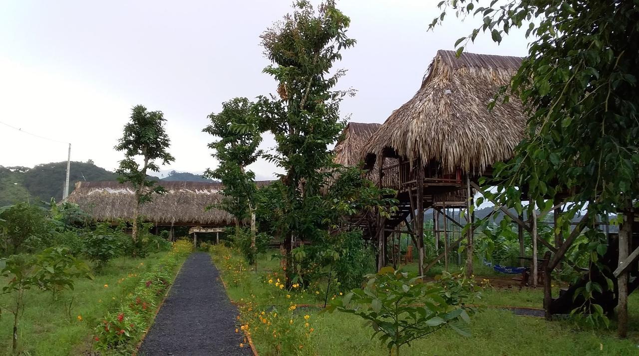 Vila Sunny Field Eco Stilt House Cat Tien Exteriér fotografie