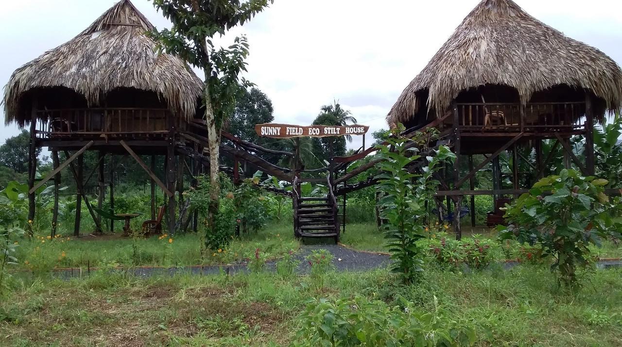 Vila Sunny Field Eco Stilt House Cat Tien Exteriér fotografie