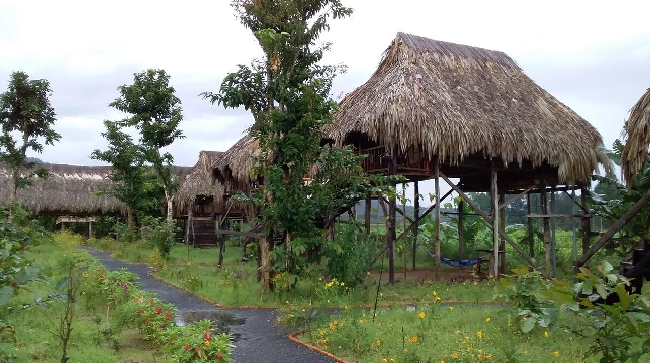 Vila Sunny Field Eco Stilt House Cat Tien Exteriér fotografie