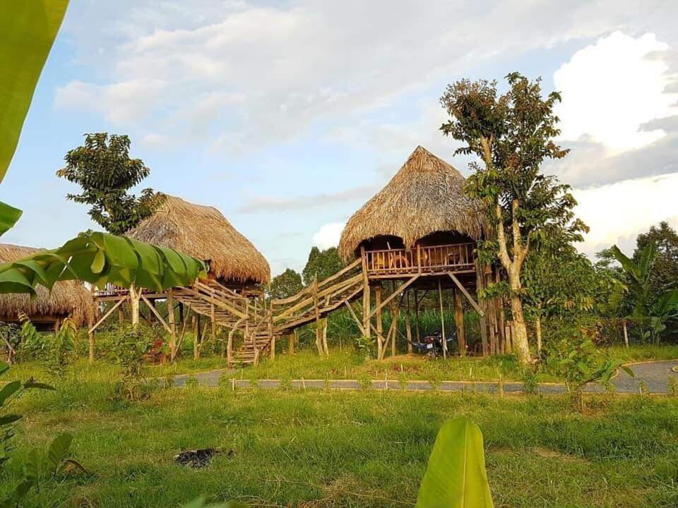 Vila Sunny Field Eco Stilt House Cat Tien Exteriér fotografie