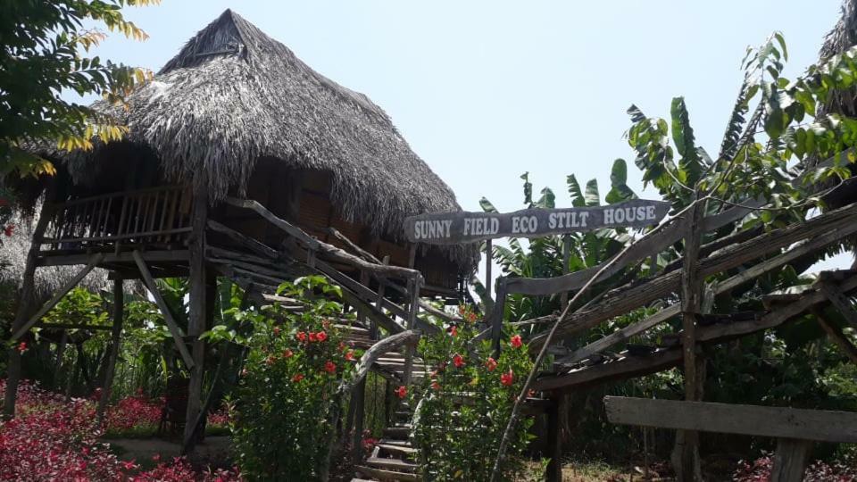 Vila Sunny Field Eco Stilt House Cat Tien Exteriér fotografie