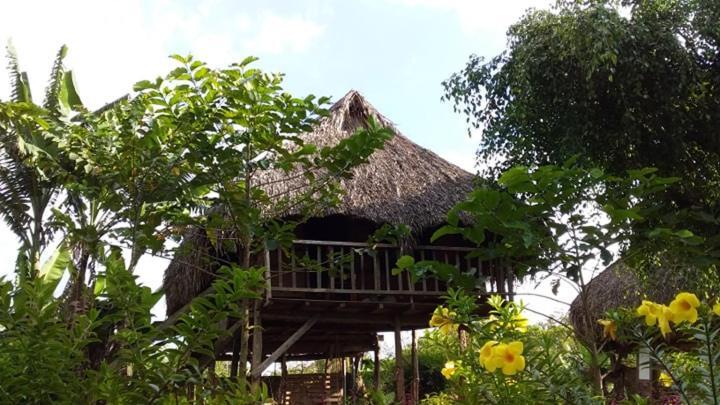 Vila Sunny Field Eco Stilt House Cat Tien Exteriér fotografie